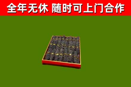 六盘水回收海参